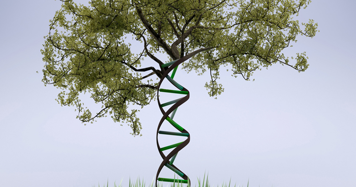 tree with DNA helix as its trunk