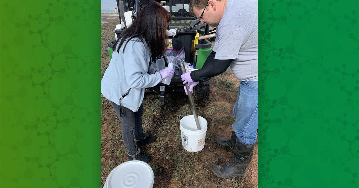 team collecting samples