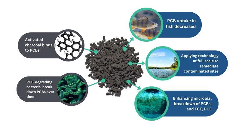 Activated carbon pellets bind to and degrade PCBs to reduce uptake in fish, enhance breakdown, and remediate contaminated sites.