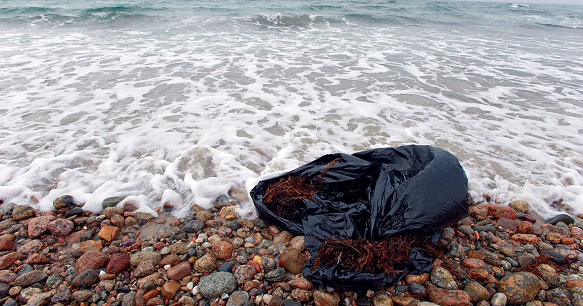 bag of plastic trash on sea shore