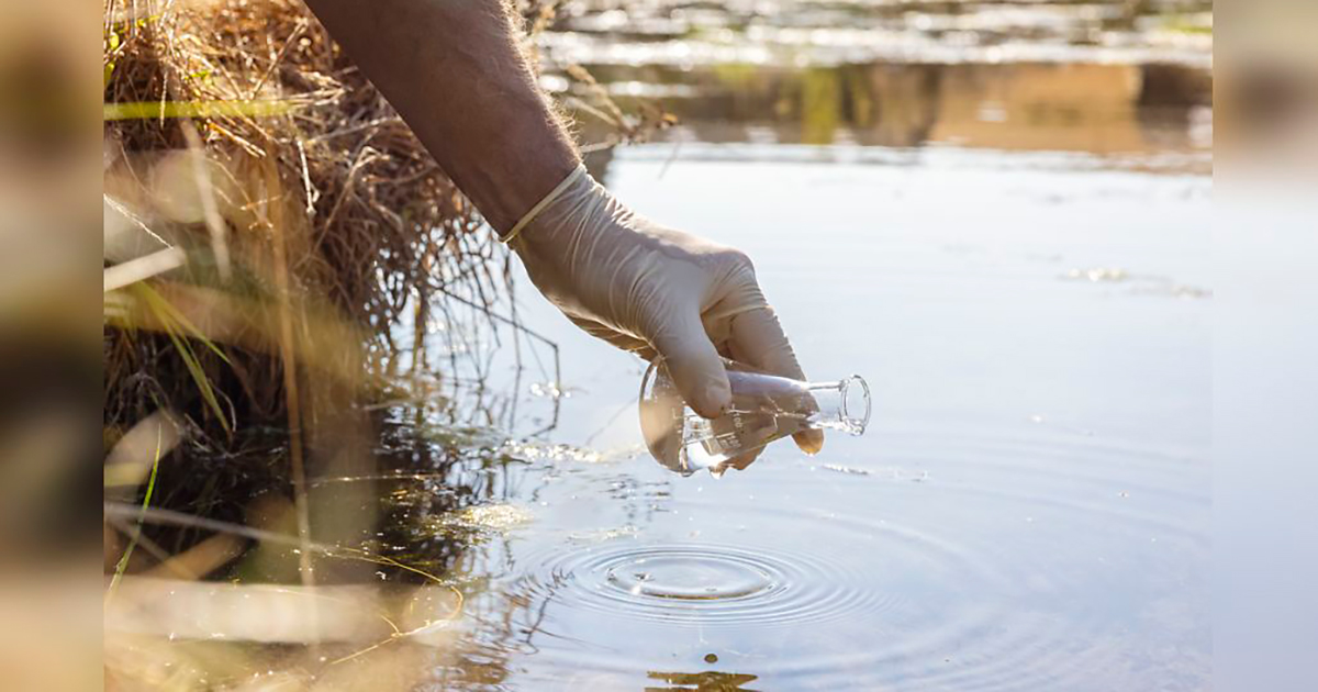 person collecting water from an outdoor source