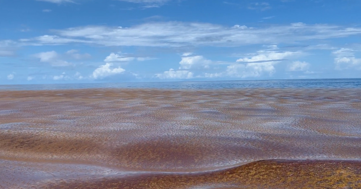 ocean and sky