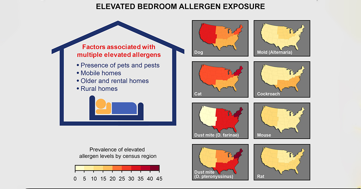 Elevated bedroom allergen exposure