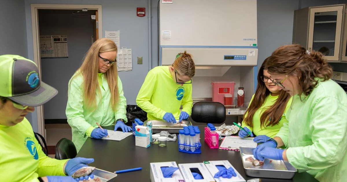 student working in a lab