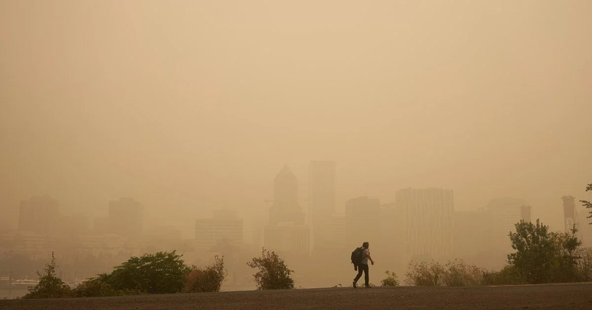 person walking in smog
