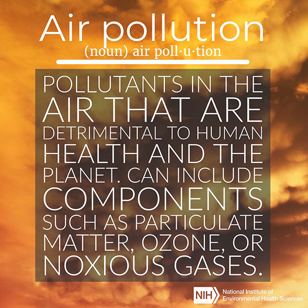 Air Pollution definition