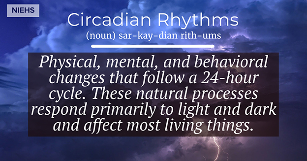 Circadian Rythms definition