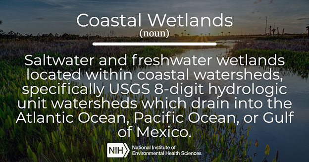 Coastal Wetlands definition