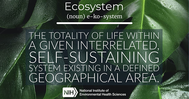 Ecosystem definition