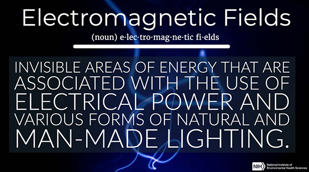 Electromagnetic Fields definition