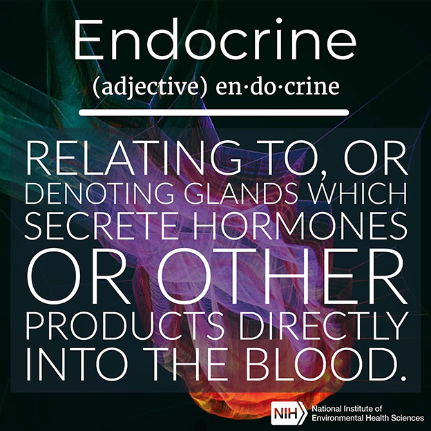 Endocrine definition