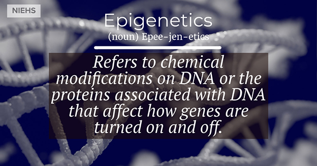 Epigenetics definition