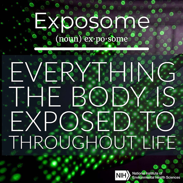 Exposome definition