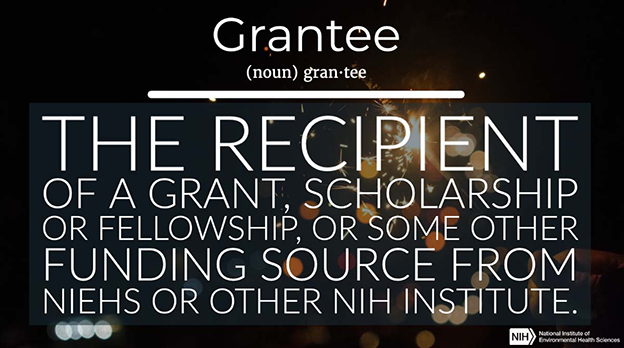 Grantee definition
