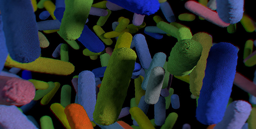 microbiome