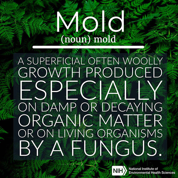 Mold definition