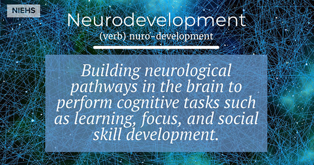 Neurodevelopment definition