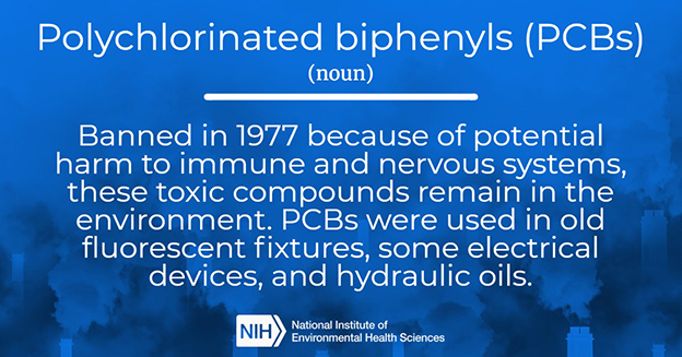 Polychlorinated Biphenyls (PCBs)