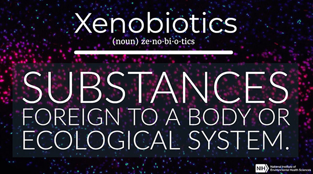 Xenobiotics definition