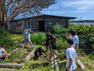 group of youth exploring vegitation