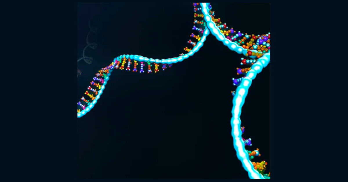 RNA strand