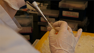 A researcher on Volk's team isolates DNA in the lab