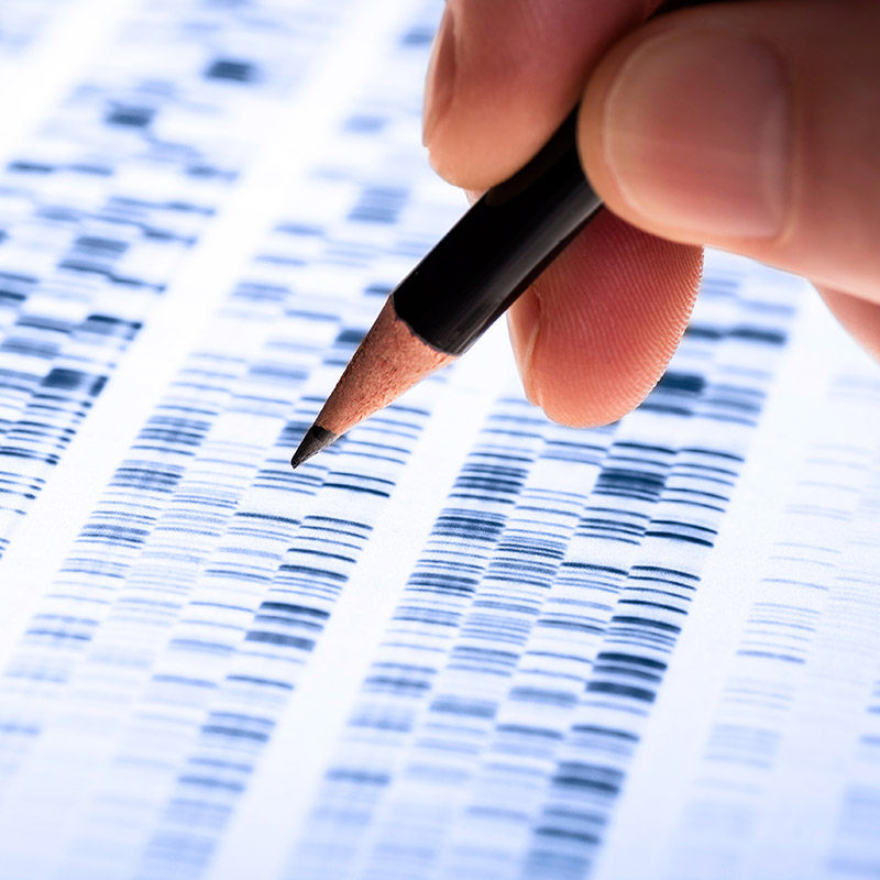 genomeproject.jpg