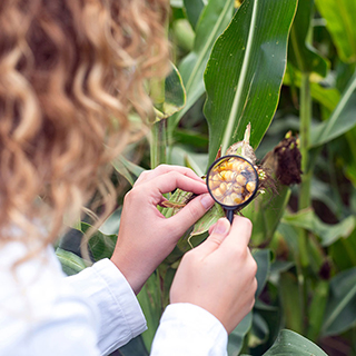 child looking at plants through magnifying glass