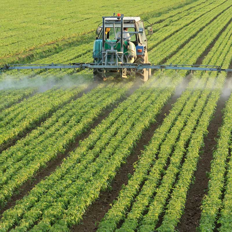 pesticide.jpg