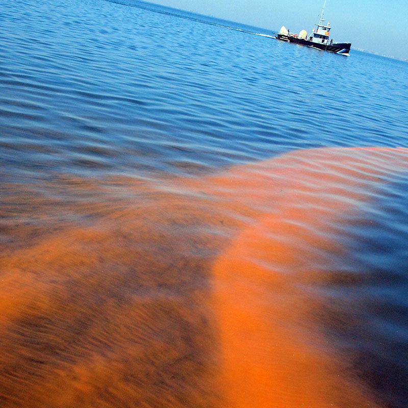 redtide.jpg