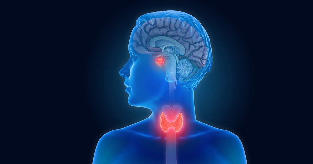 Illustration of a person with head turned to left, throat and center of brain highlighted red.
