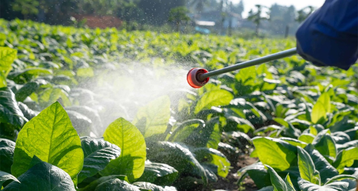 Pesticides being sprayed onto crops
