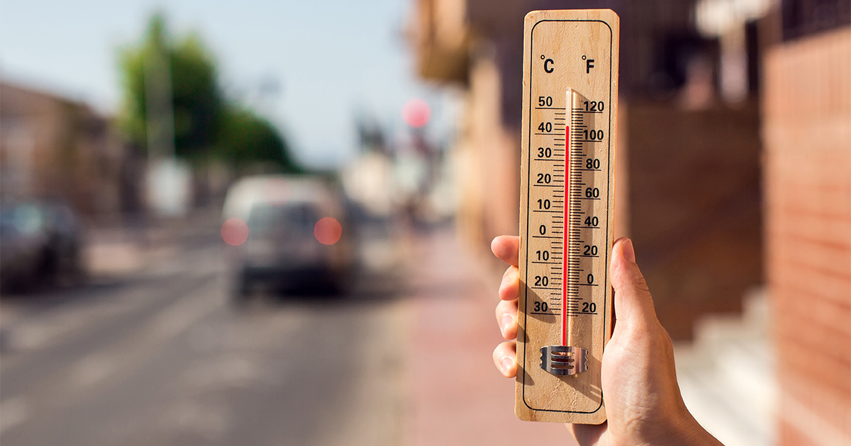 thermometer 