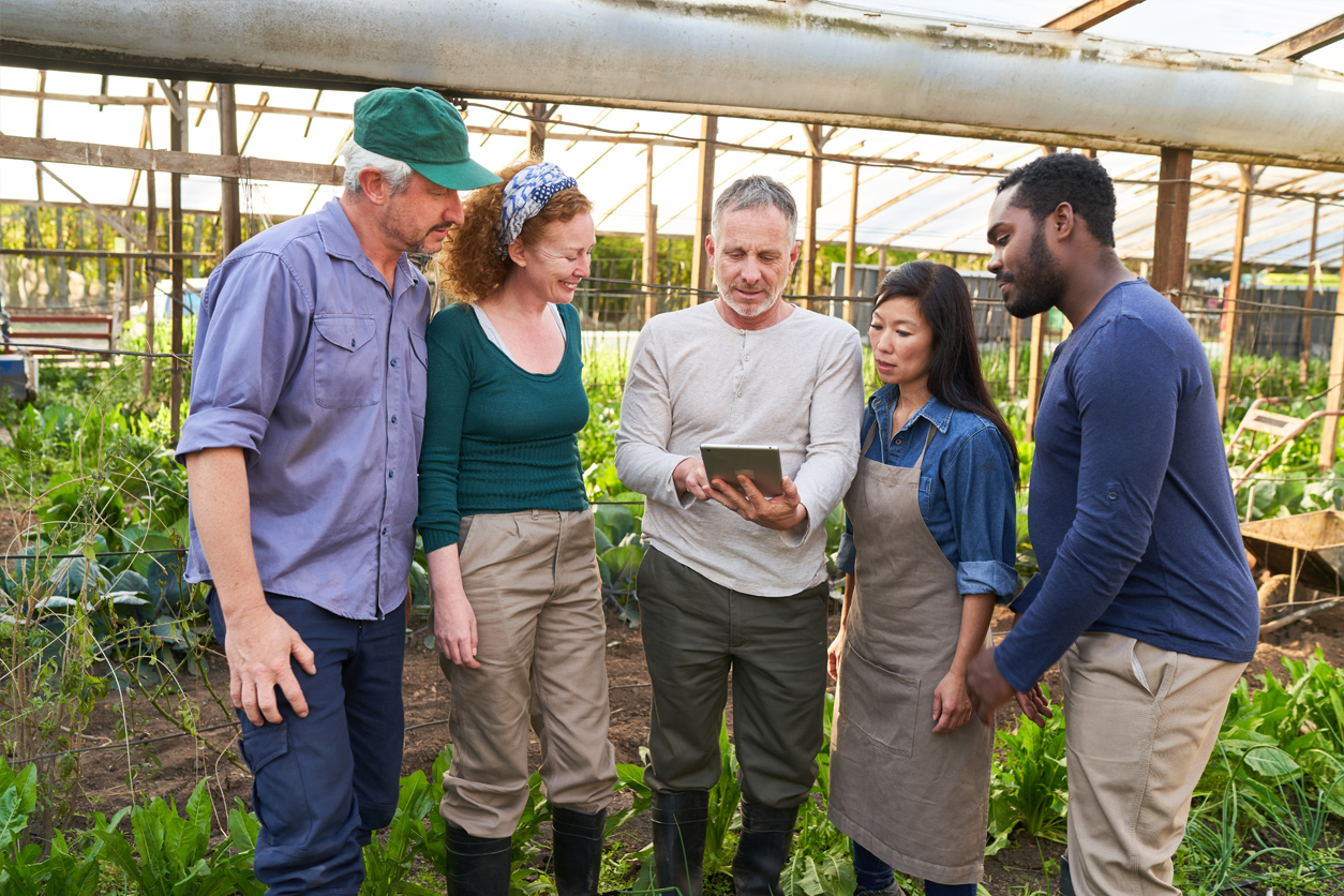 people standing in a greenhouse and looking at a tablet