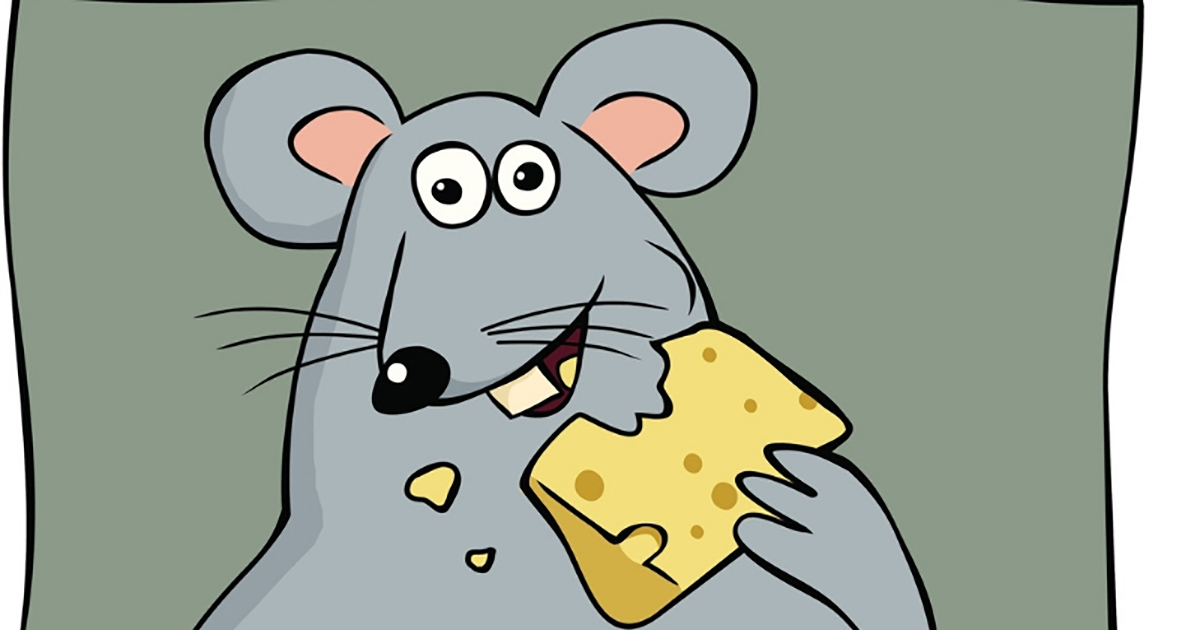 Cartoon mouse eating cheese