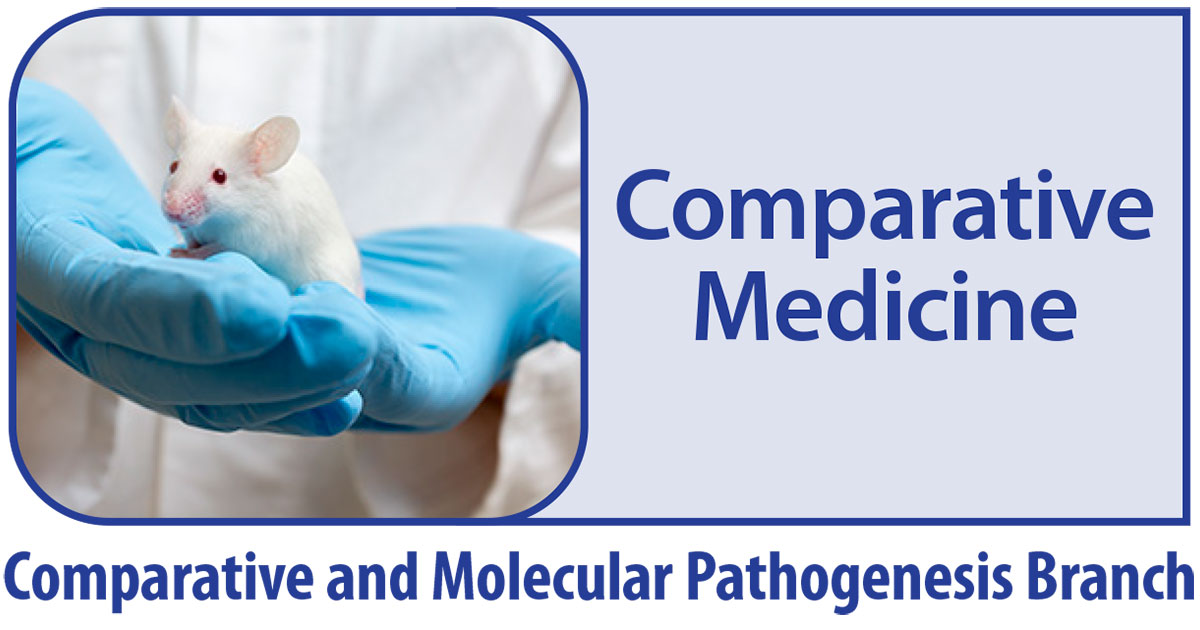 Comparative Medicine Group | National Institute of Environmental Health Sciences Comparative Medicine Group | National Institute of Environmental Health Sciences