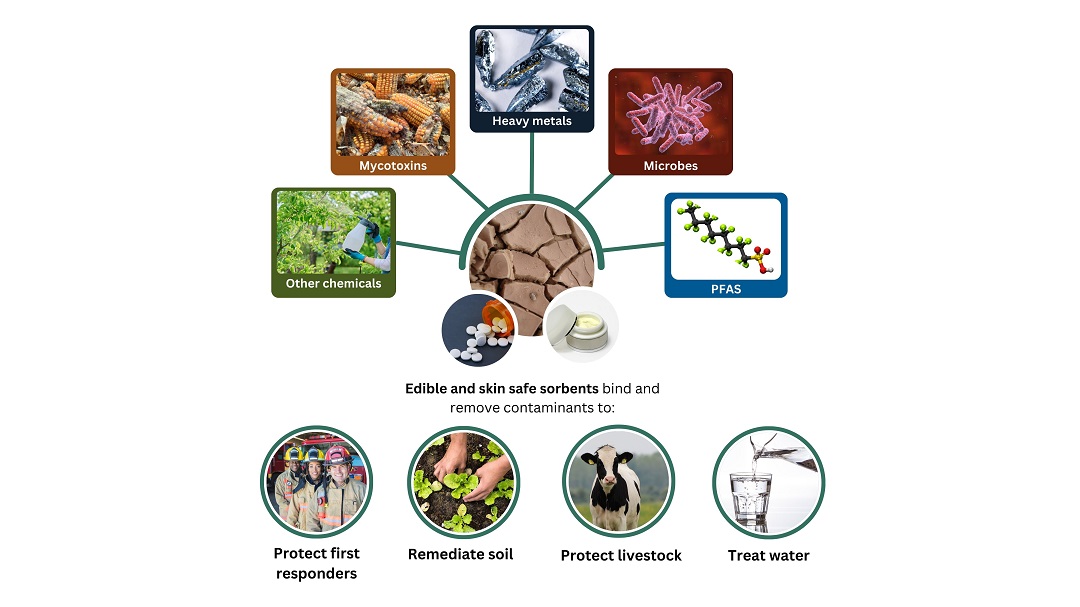 Edible and skin safe sorbents bind to and remove PFAS, microbes, heavy metals, mycotoxins, and other chemicals in order protect first responders, remediate soil, protect livestock, and treat water