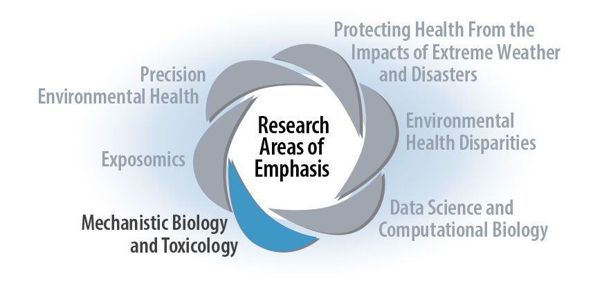 Research Areas of Emphasis - Mechanistic Biology and Toxicology