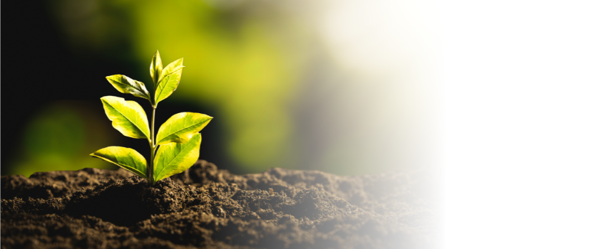 Two graphs showing the concentration of certain legacy PFAS in the Cape Fear River and where different monitors were deployed for the research