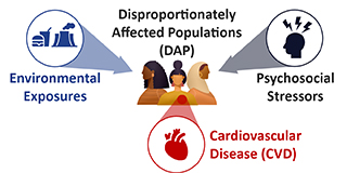 Environmental Exposures and Psychosocial Stressors on Cardiovascular Disease on Disproportionately Affected Populations