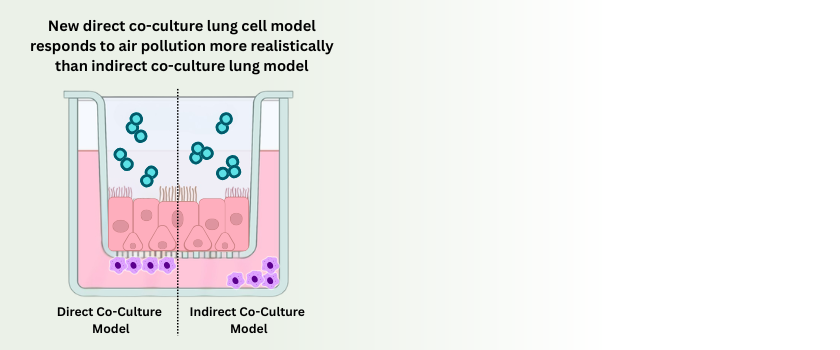 Two graphs showing the concentration of certain legacy PFAS in the Cape Fear River and where different monitors were deployed for the research