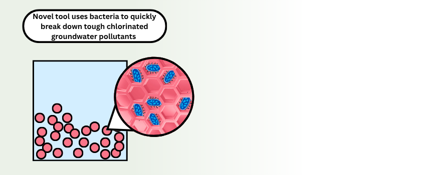 Two graphs showing the concentration of certain legacy PFAS in the Cape Fear River and where different monitors were deployed for the research