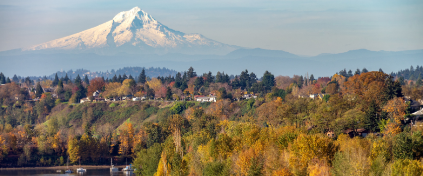 Photo of trees and a snow capped mountain in the background