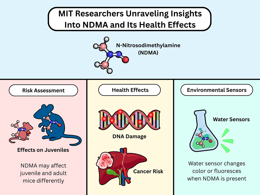 MIT research on NDMA looks at risk assessment, health effects, and environmental sensors