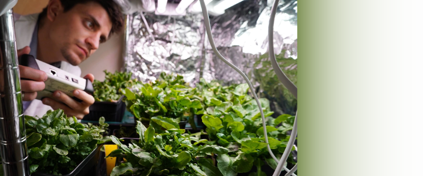 Man leaning over plants in a lab