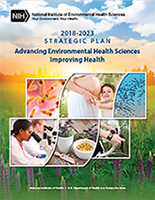 2018-2023 Strategic Plan Cover