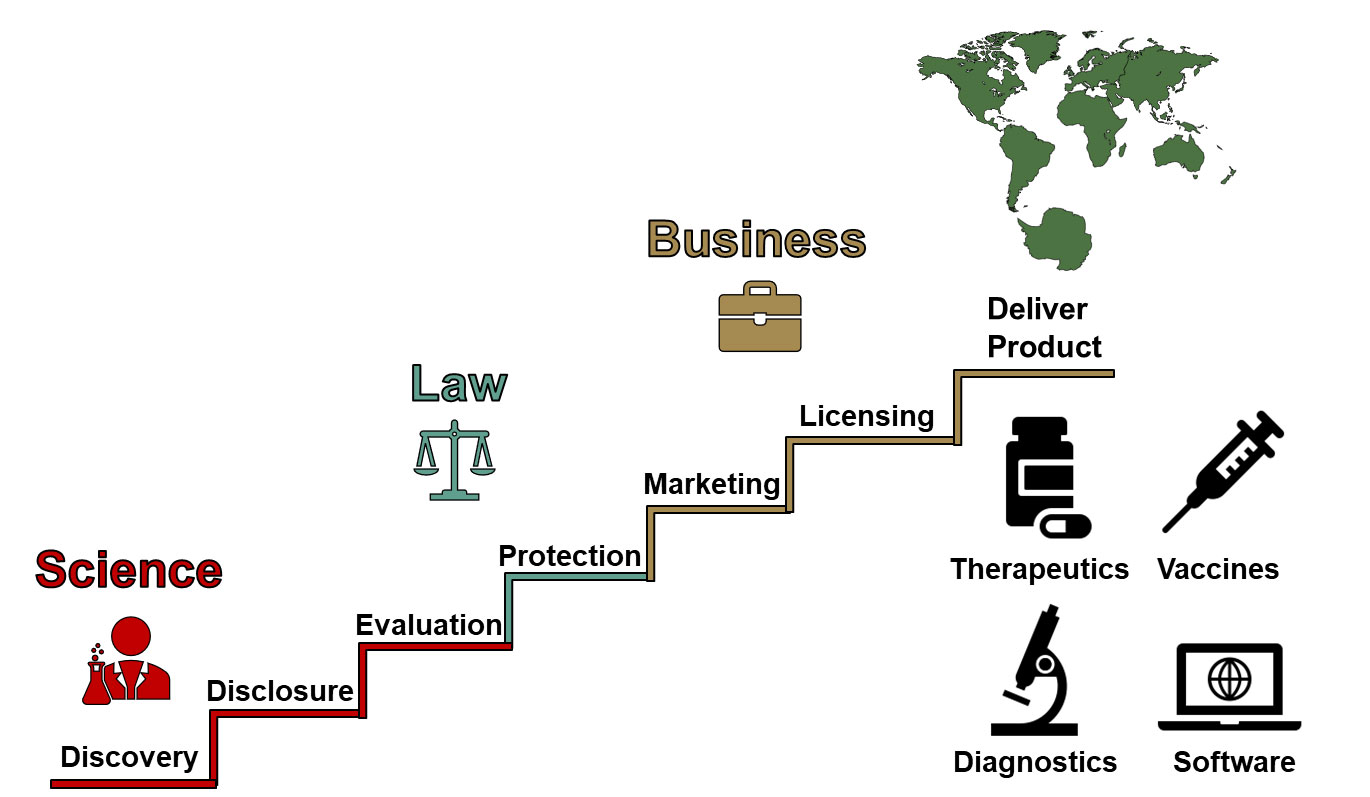 Science - discovery and disclosure, Law - Protection, Business - Marketing, Licensing, and Deliver Product. Therapeautics, Vaccines, Diagnostics, Software
