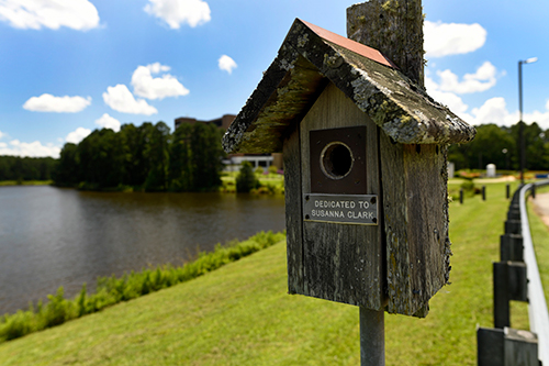 Birdhouse with a plack that reads "Dedicated to Susanna Clark"