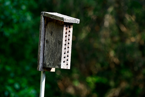 Mason bee block