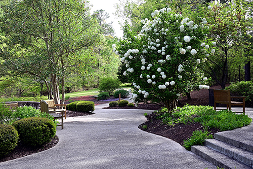 Floral garden